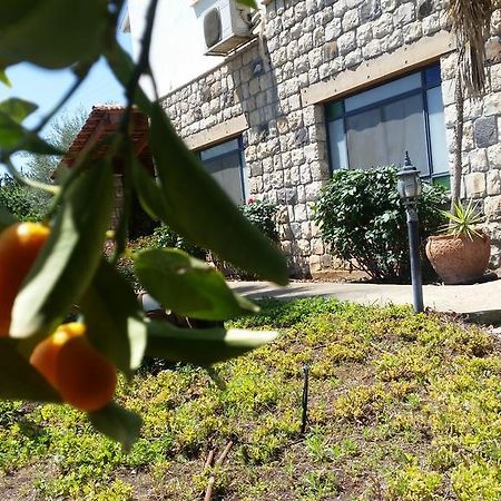 Shwartzimmer روش بينا المظهر الخارجي الصورة
