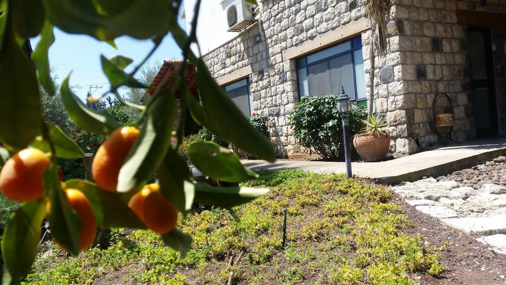 Shwartzimmer روش بينا المظهر الخارجي الصورة