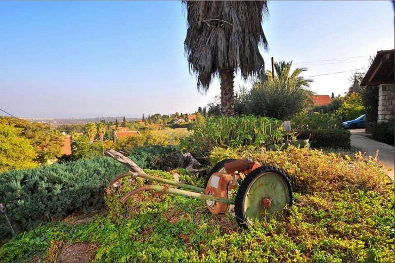 Shwartzimmer روش بينا المظهر الخارجي الصورة